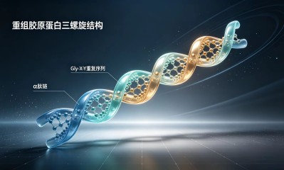 重组胶原蛋白的功效