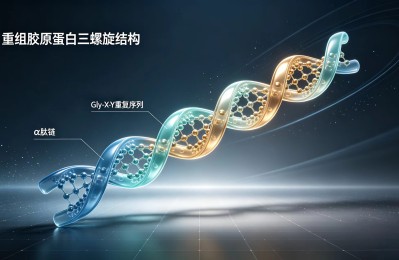 重组胶原蛋白的功效
