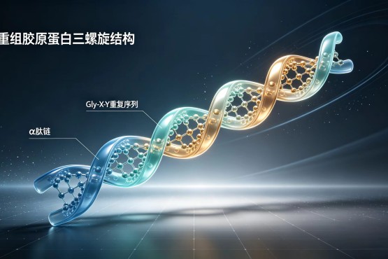 重组胶原蛋白的功效